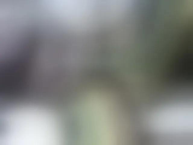 Live sex webcam photo for Hairypusssy #291058770