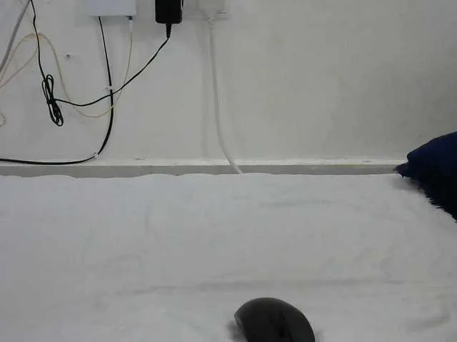 Live sex webcam photo for hairysquiter #291295965