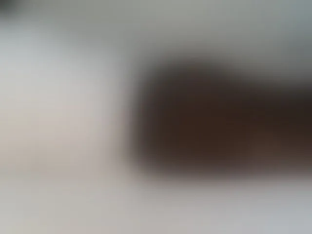 Live sex webcam photo for hairysquiter #291890859