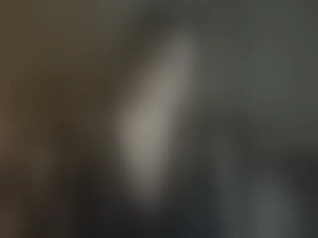 Live sex webcam photo for HaisonEris1 #292697626