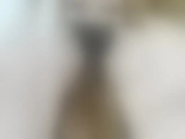 Live sex webcam photo for HaisonEris1 #294087966