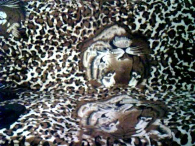 Live sex webcam photo for Halunhlyxa #276594566