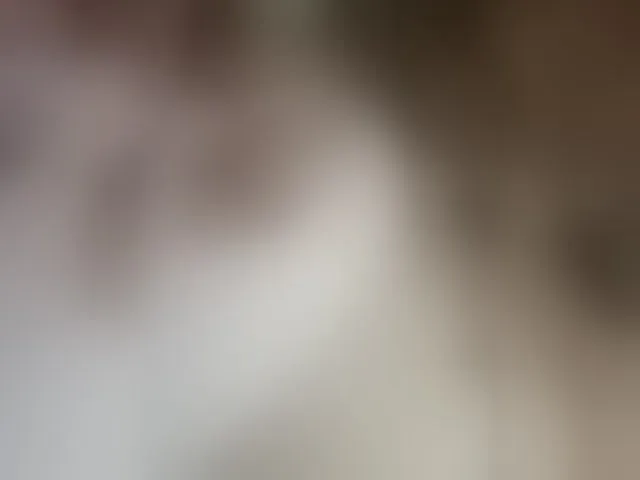 Live sex webcam photo for HannaPast #293776040