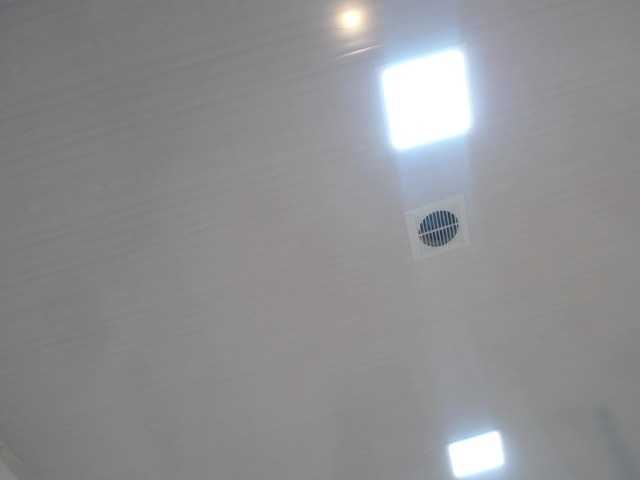 Live sex webcam photo for HannahParker #272921142