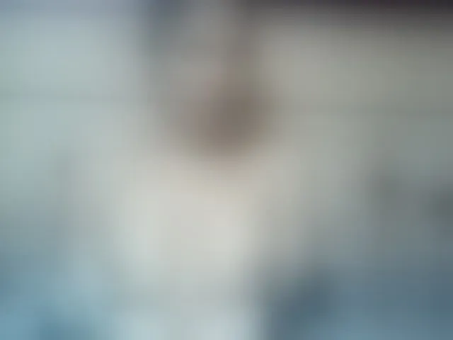 Live sex webcam photo for Hanta11 #293870800