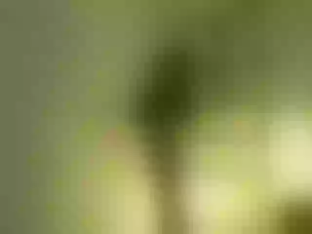 Live sex webcam photo for HappyHolly- #276379527