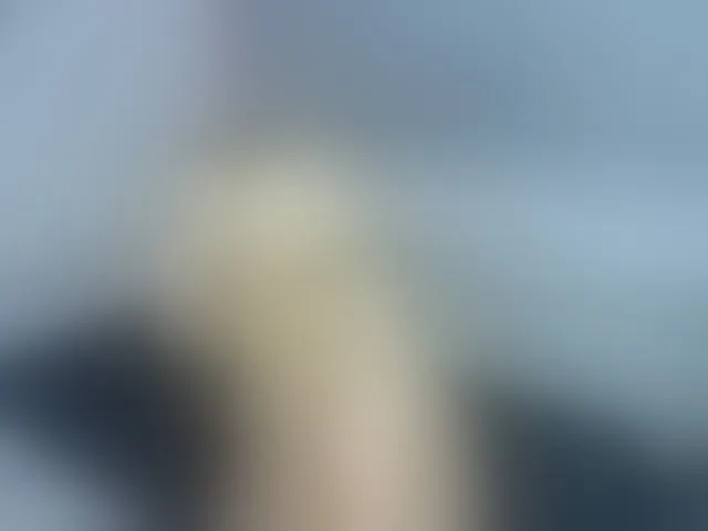 Live sex webcam photo for Harsh-mode #293896081