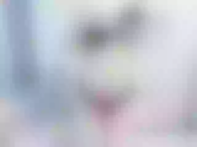 Live sex webcam photo for HatanoLoveU #291038439