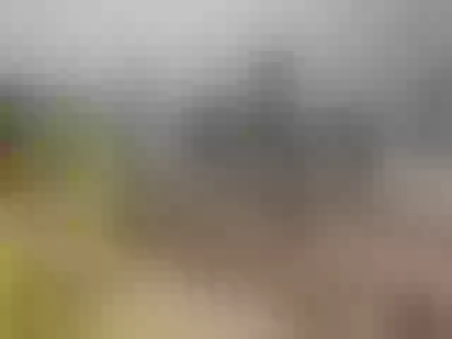 Live sex webcam photo for Hazzan-y-Greisy #289569459