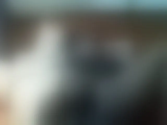 Live sex webcam photo for Heavens01 #290581895