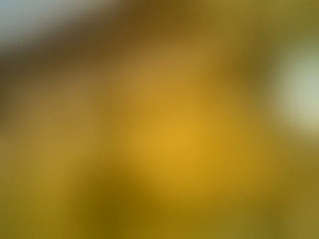 Live sex webcam photo for Heavens01 #290824292