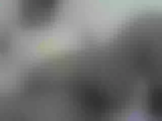 Live sex webcam photo for Heavens01 #291421347