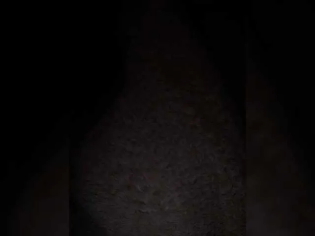 Live sex webcam photo for HelenBerg #291053536