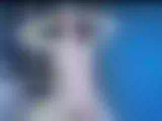 Live sex webcam photo for HelenKiss31Lee #290482844
