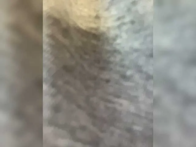 Live sex webcam photo for HellMor #273462387