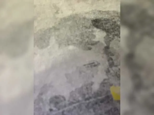 Live sex webcam photo for HellMor #273540342