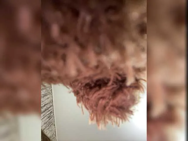 Live sex webcam photo for HellMor #276860793