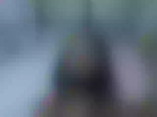 Live sex webcam photo for Hemreyi #291985523
