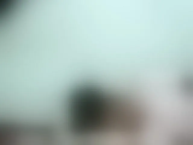 Live sex webcam photo for Hemreyi #292478102