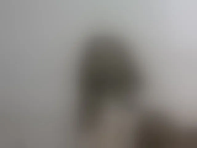 Live sex webcam photo for Hemreyi #292656186