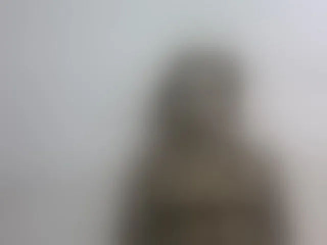 Live sex webcam photo for Hemreyi #292659316