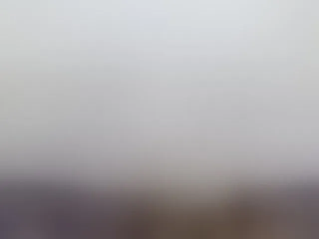 Live sex webcam photo for Hemreyi #293728553