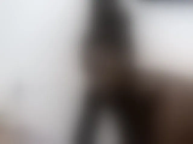 Live sex webcam photo for Hemreyi #293773929