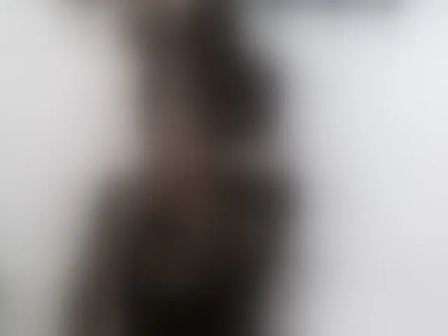 Live sex webcam photo for Hemreyi #293874183