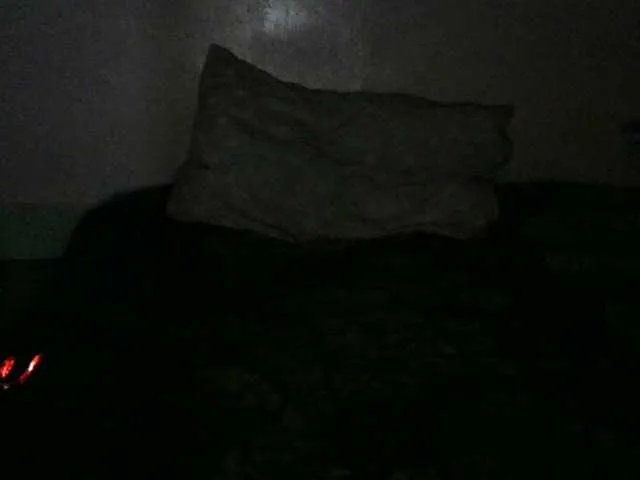 Live sex webcam photo for Hidengem1 #290041752