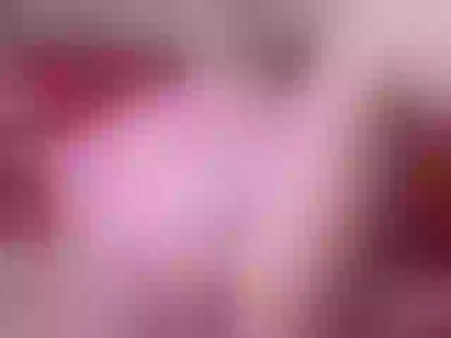 Live sex webcam photo for Hijab-Sami #291204361