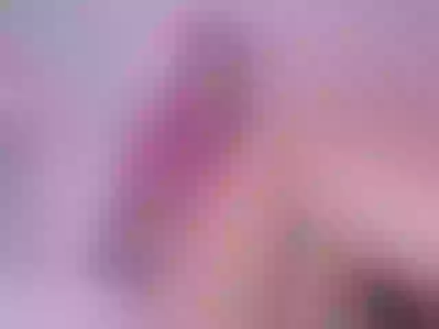 Live sex webcam photo for Hijab-Sami #291699057