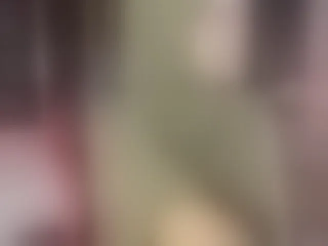 Live sex webcam photo for Hijab-Sami #293440970