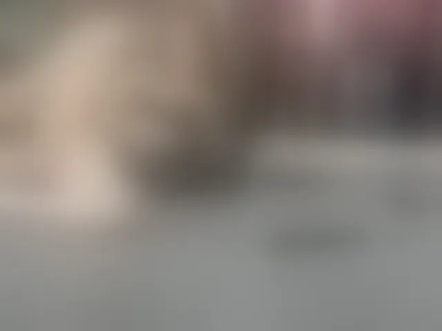 Live sex webcam photo for Hlilian16 #275720177