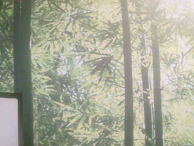 Live sex webcam photo for Hndsmphil #276591953