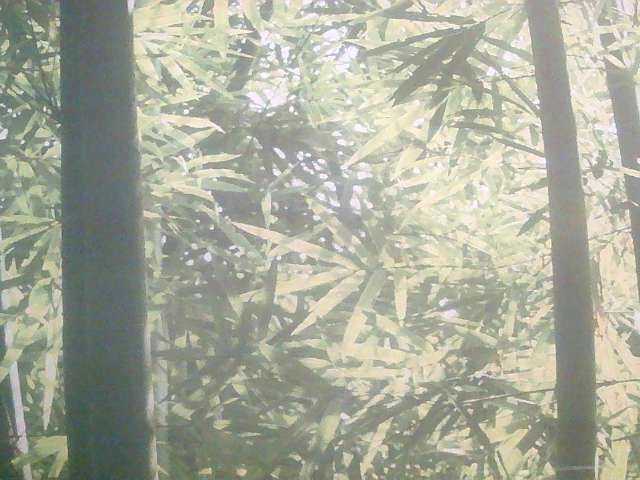 Live sex webcam photo for Hndsmphil #290640903