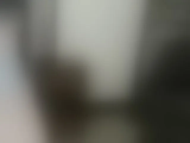 Live sex webcam photo for Holliekate #292360316