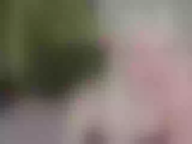 Live sex webcam photo for HollyTaillor #291972352