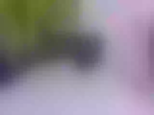 Live sex webcam photo for HollyTaillor #292153862