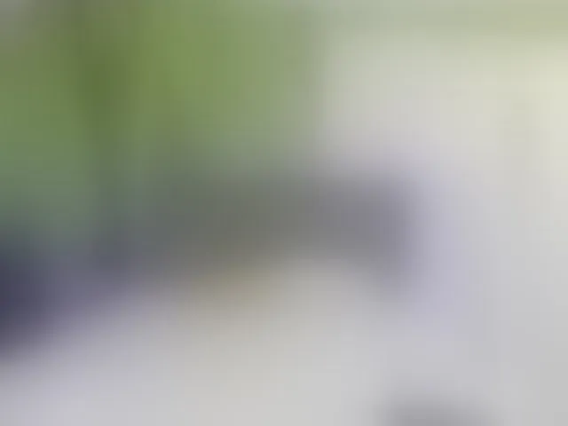 Live sex webcam photo for HollyTaillor #293845195
