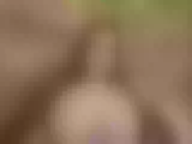 Live sex webcam photo for Homely #276985378