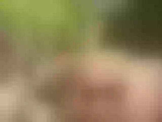 Live sex webcam photo for Homely #277024882