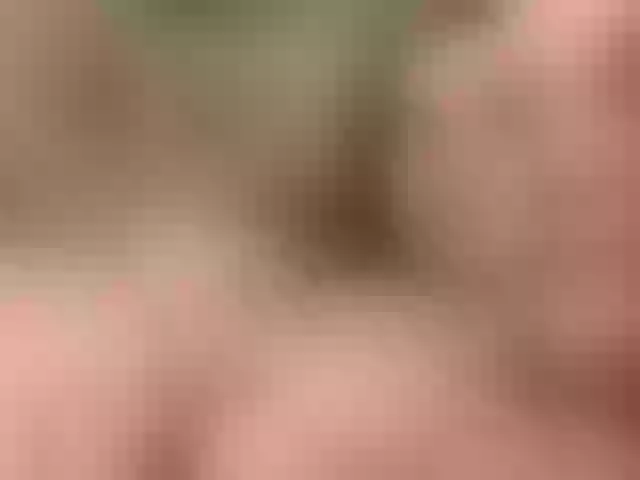 Live sex webcam photo for Homely #277057208