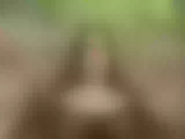 Live sex webcam photo for Homely #277211007