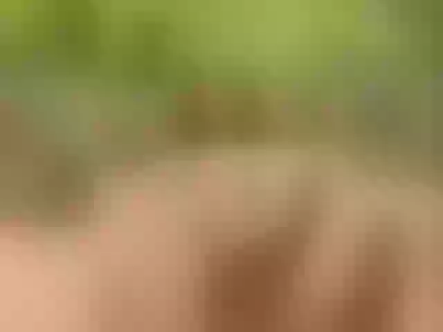 Live sex webcam photo for Homely #277330394