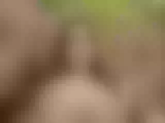 Live sex webcam photo for Homely #277372346