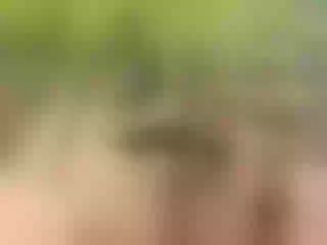 Live sex webcam photo for Homely #277613895
