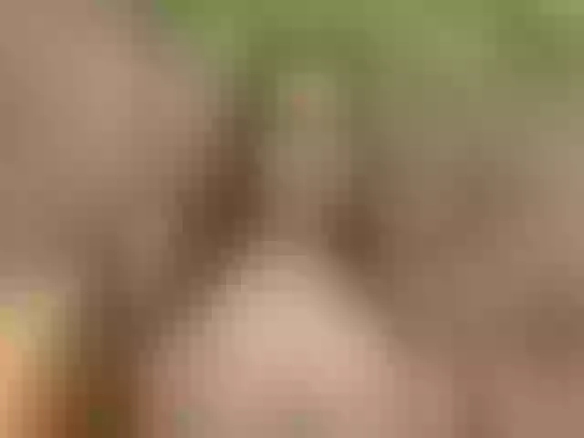Live sex webcam photo for Homely #277834563