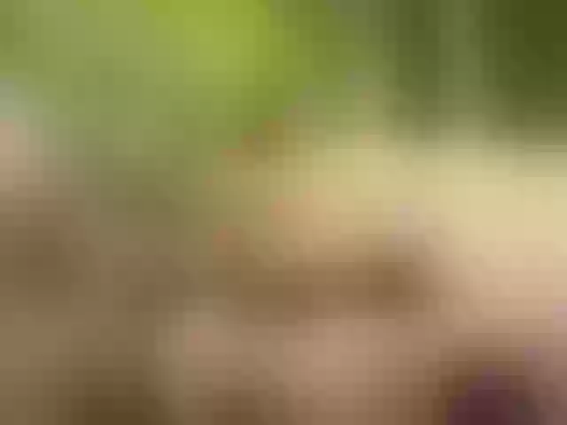 Live sex webcam photo for Homely #277930452