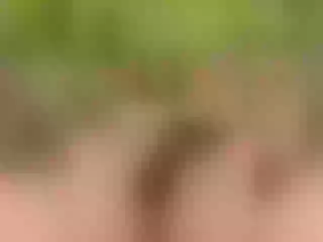 Live sex webcam photo for Homely #277955697