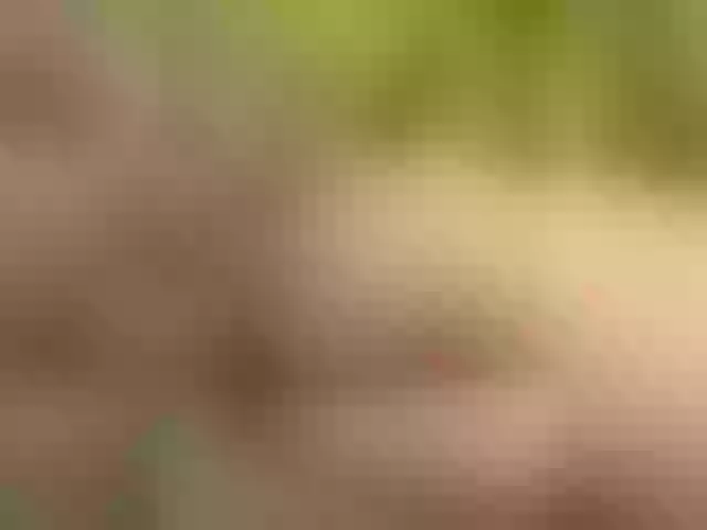 Live sex webcam photo for Homely #277962340